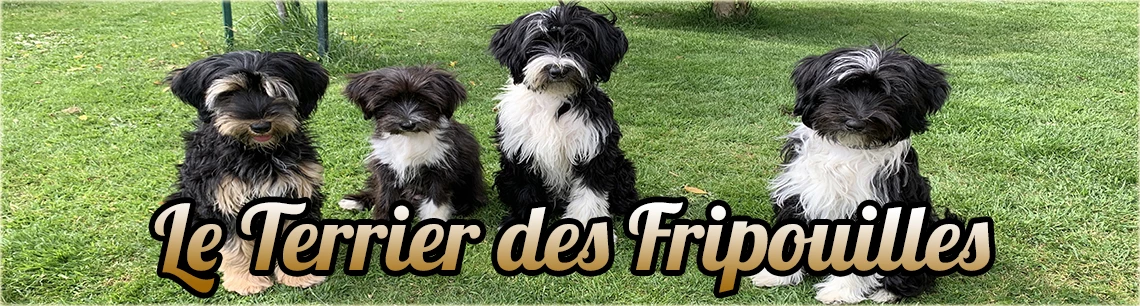 Le Terrier Des Fripouilles